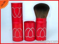 Retractable Brush