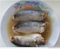 Canned Mackerel in Brine