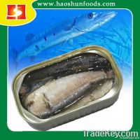 Canned Sardines in Oil