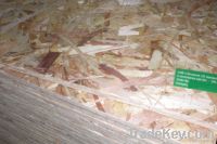 OSB ( Oriented Strand Board)