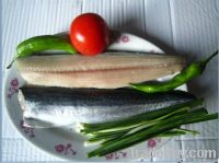 Spanish mackerel