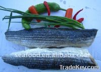 Grey mullet fillets