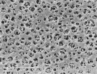 Cellulose acetate membranes