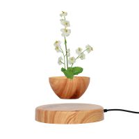 Pa-0736 Round Base Magnetic Levitation Floating Air Bonsai Tree Flowerpot Plant Gift Promotion 