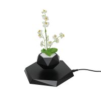 Pa-0735 New Magnetic Levitation Floating Air Bonsai Tree Flowerpot Plant For Decoration 