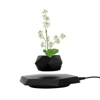 Pa-0735 New Magnetic Levitation Floating Air Bonsai Tree Flowerpot Plant For Decoration 