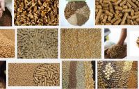 soybean meal,palm kernel meal,oatmeal,fishmeal