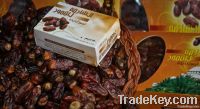 Sharjah Dates Factory