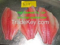 Frozen Tilapia Fillet