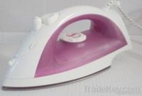 Steam Iron