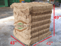 100% Pure Natural Palm Fiber(PPF)