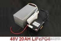 48V 20AH LiFePO4 Battery (with BMS, 6A Fast Charger and Bag)