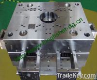 injection mould