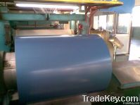 colored pre-painted galvanized steel sheet/coil