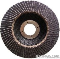 SIC flap disc