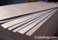 plywood sheet