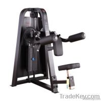 Precor Sports Equipment / Lateral Raise