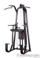 Precor Sport Machine / Dip & Chin Assist