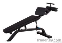 Precor Commercial Sports Machine / Decline Roman Chair