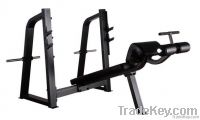 Precor Commercial Body Building Machine / Olympic Decline Bench