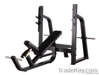 Precor Commercial Fitness Equipment / Olympic Incline Bench