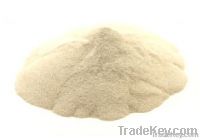 new crop dried garlic powder