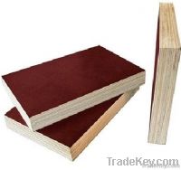 Film Faced Plywood