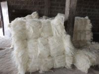 NATURAL SISAL FIBER 