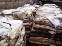 WET SALTED COW HIDES / WET SALTED SHEEP SKIN / WET SALTED PIG SKIN 