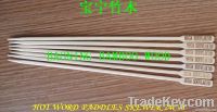 PADDLES SKEWER24CM
