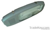 induction lamps / electrodeless lamps / road lighting