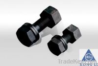 Stainless Steel Bolt