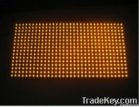 P10 LED module yellow and led display screen