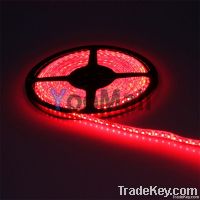 Waterproof 5M 12V SMD 3528  120LEDs/m Flexible Strip Light RE