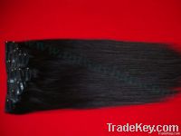 100g Clip in Hair Extension 20