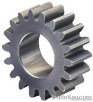 standard stainless spur gear