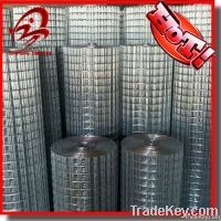 Welded Wire Mesh(manufacturer)