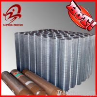 low price, high quality Black Welded Wire Mesh (Iso9001:20000)