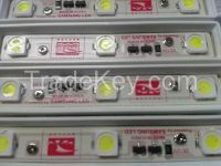 LED sign module