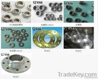 Titanium Fastener