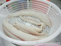 Frozen Shark Fillet