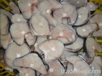Frozen Blue Shark Steak