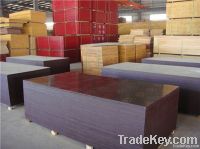 phenolic film faced bamboo plywood