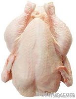 frozen chicken