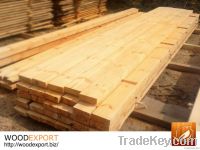 Yellow Pine from Ukraine for INDIA