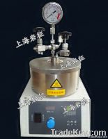 25ml magnetic high-pressure reactor