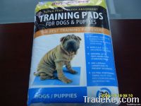 puppy training pad