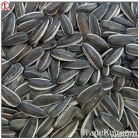 Sunflower Seeds