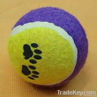 Pet Playing Tennis Ball