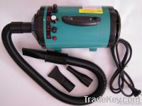 pet dryer, 2012 new single-motor